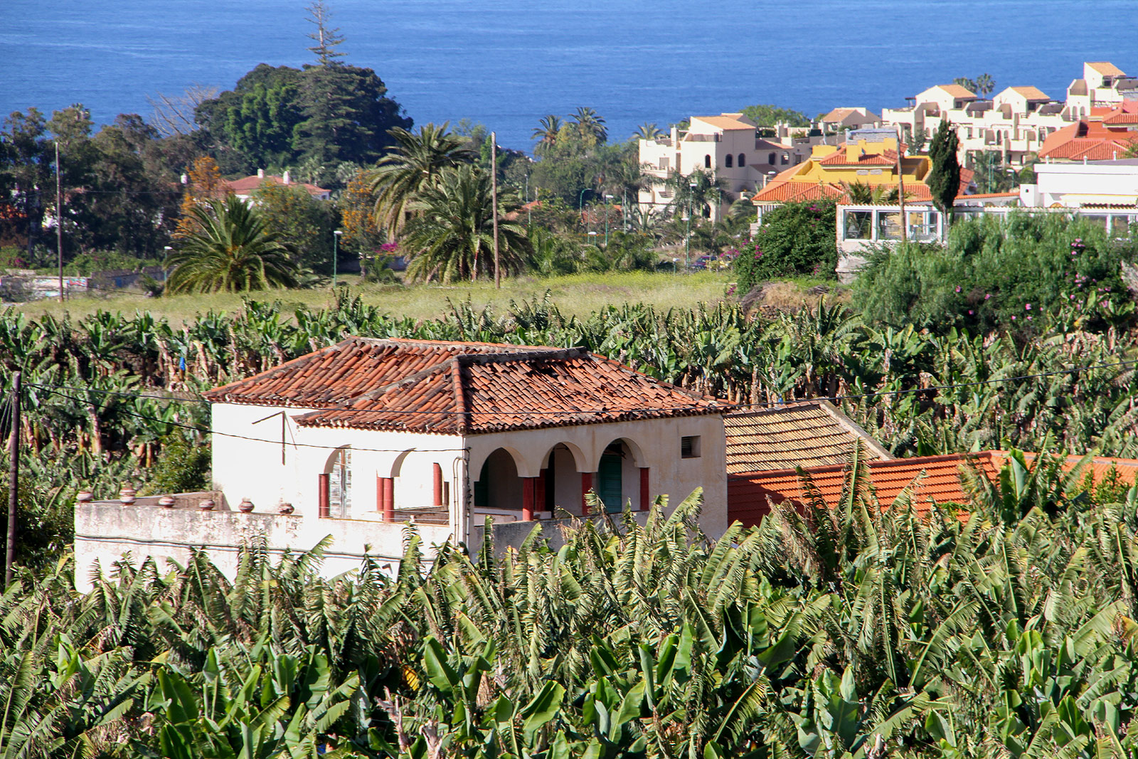Puerto de la Cruz (Photo license: CC BY-NC 2.0)